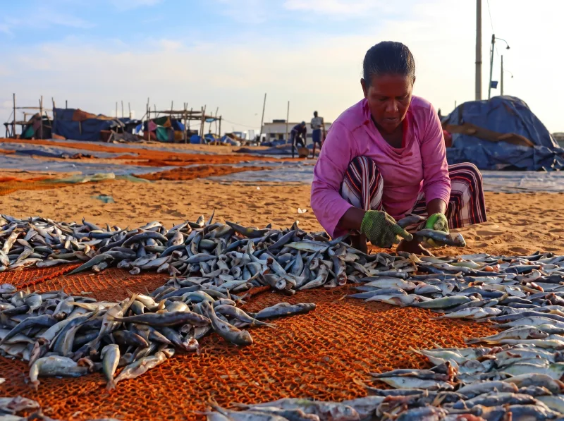 negombo