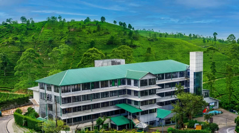 Tea Country
